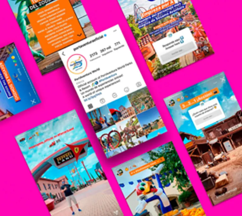 PAW - Perfil Instagram i continguts